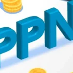 PPN NAIK