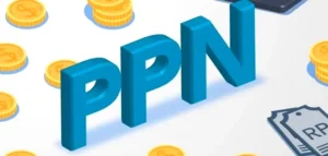 PPN NAIK