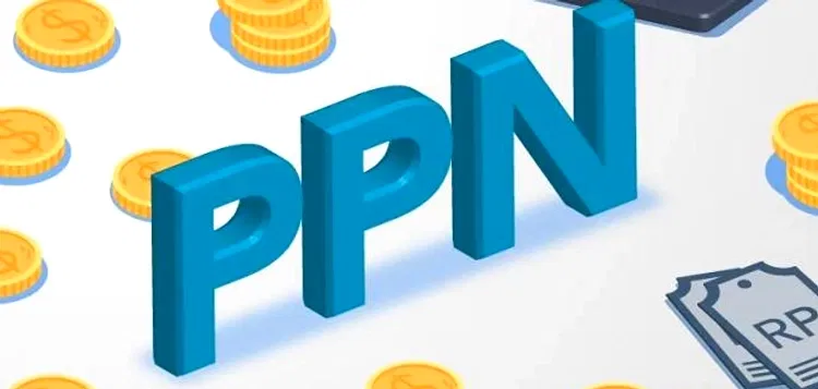 PPN NAIK