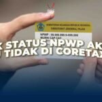 Cek Status NPWP Aktif atau Tidak di Coretax DJP