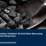 Kemenkeu Tetapkan 16 Jenis Batu Bara yang Dibatasi Ekspornya