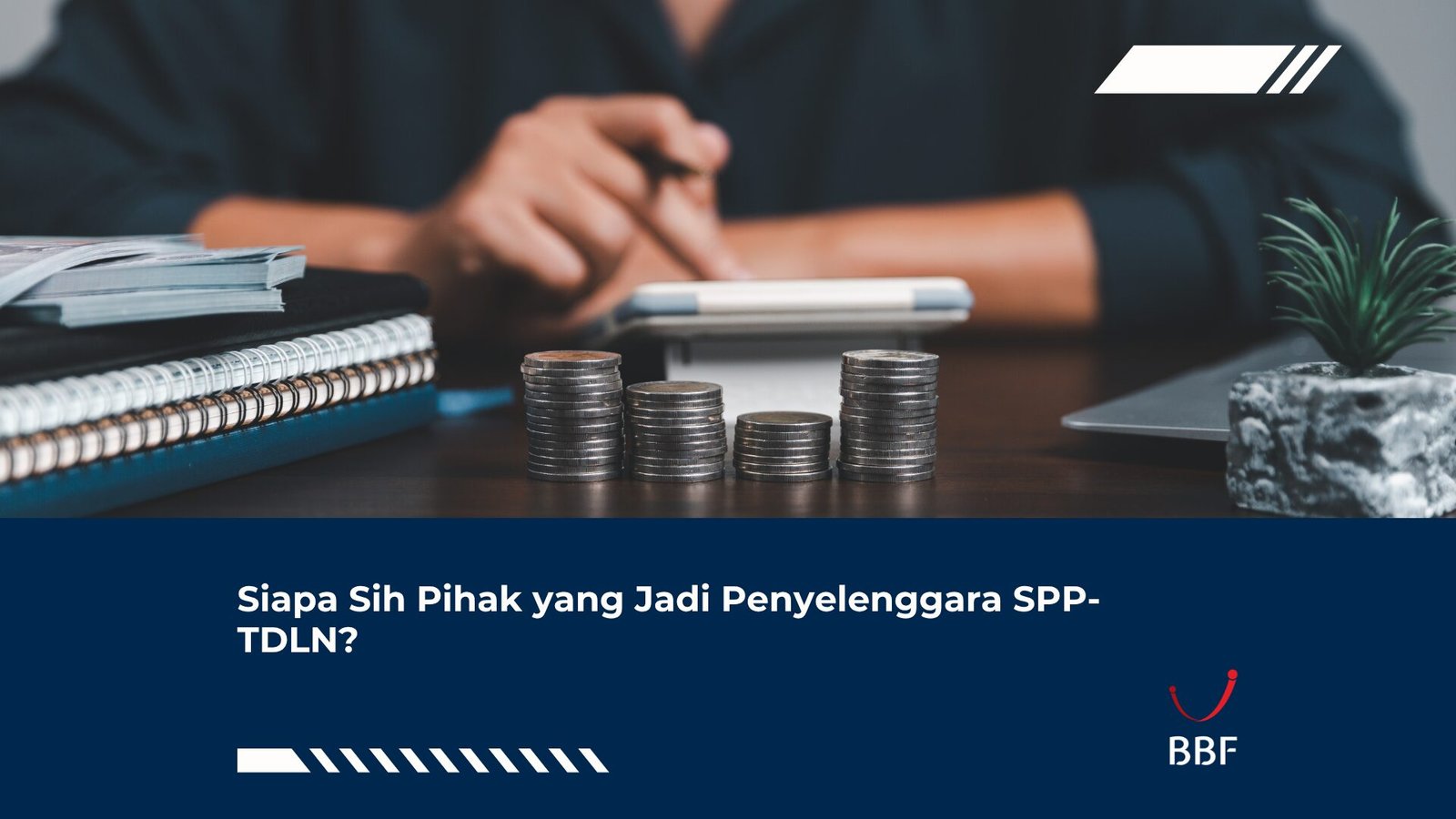 Siapa Sih Pihak yang Jadi Penyelenggara SPP-TDLN?