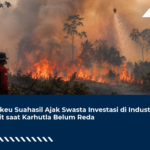 Menkeu Suahasil Ajak Swasta Investasi di Industri Sawit saat Karhutla Belum Reda