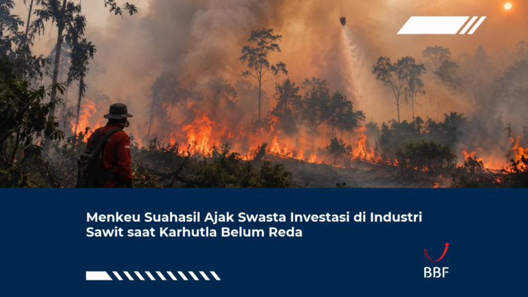 Menkeu Suahasil Ajak Swasta Investasi di Industri Sawit saat Karhutla Belum Reda